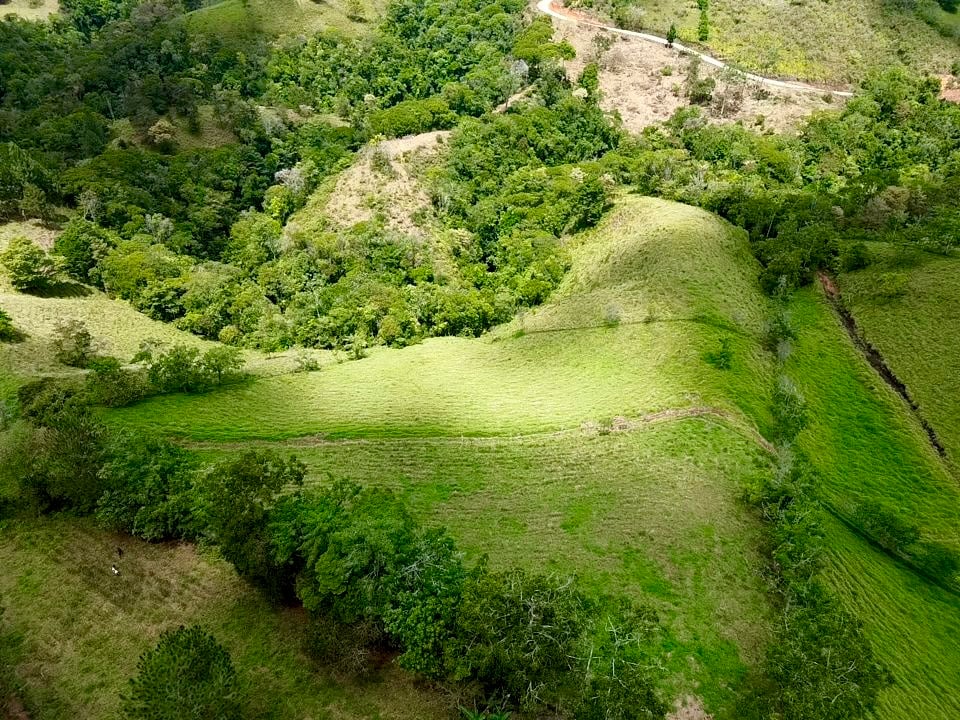54 Acre Ranch in San Vito, Coto Brus