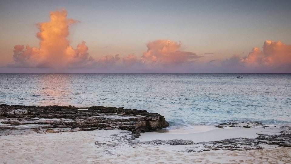 JANU Residences - Villa 8