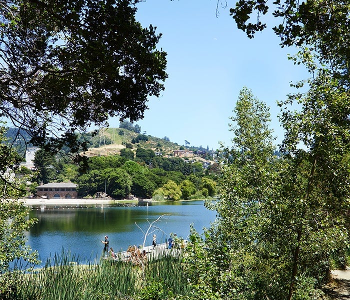 Upper Rockridge