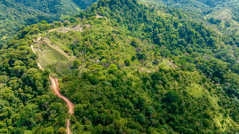 Whale Tail Views Luxury Waterfall Farm