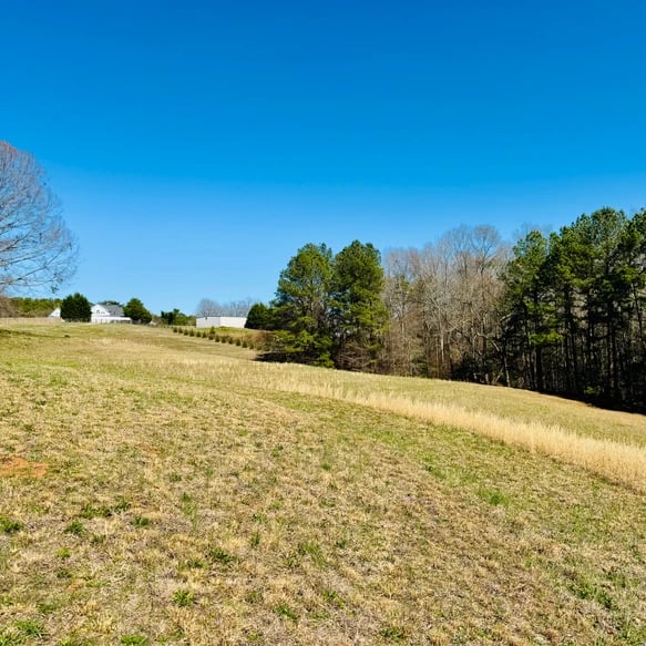 SOLD: The Perfect Property for Your Dream Estate! A Closer Look at the Stunning 14-Acre Estate Near Pelzer, SC