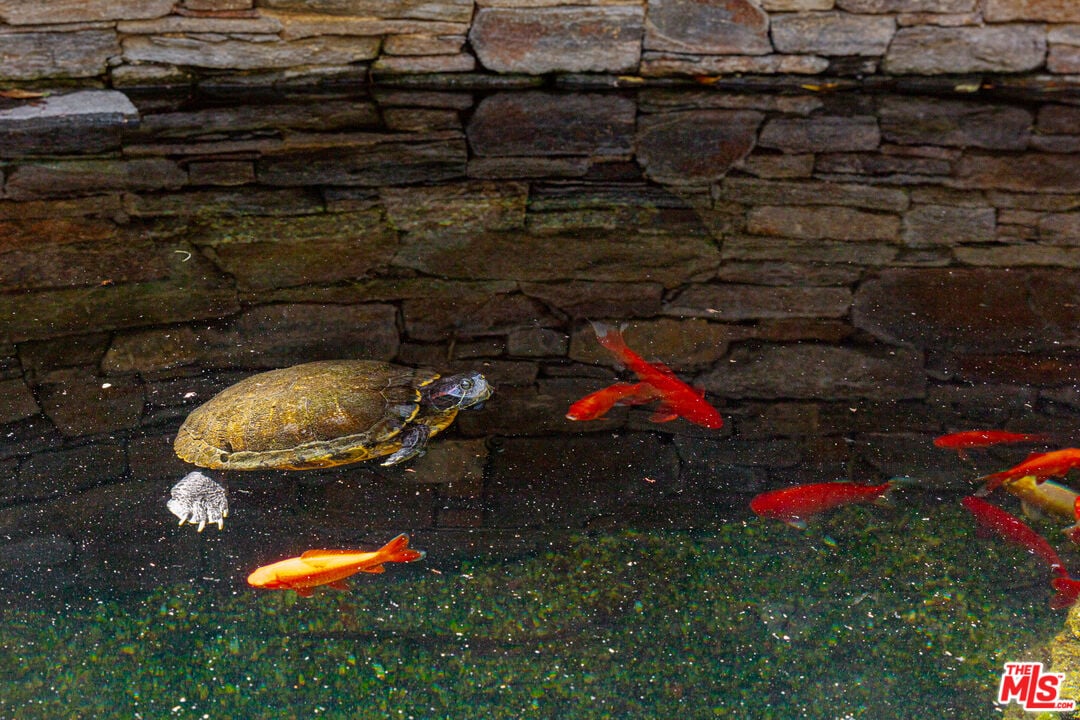 Mandeville Canyon Rd, 90049