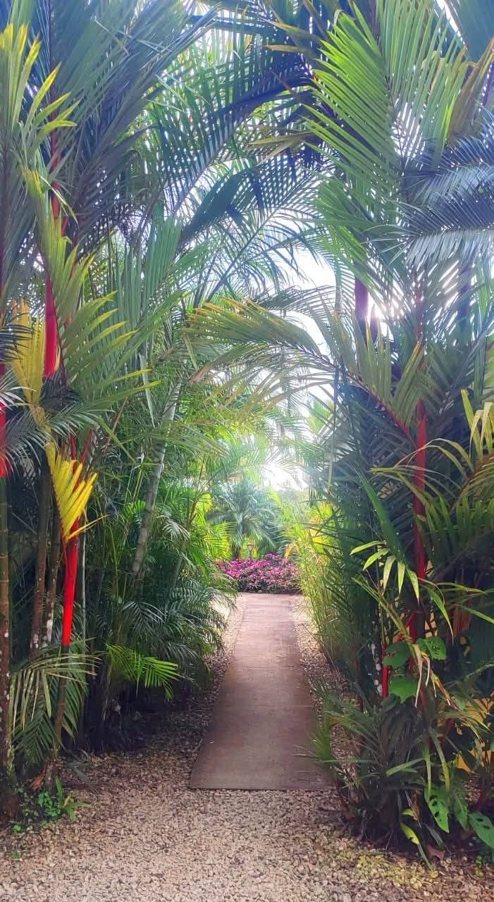 LakeGardens Arenal Condos: Furnished Villas for Sale from $99,900 to $159,000 | Lake Arenal, Costa Rica