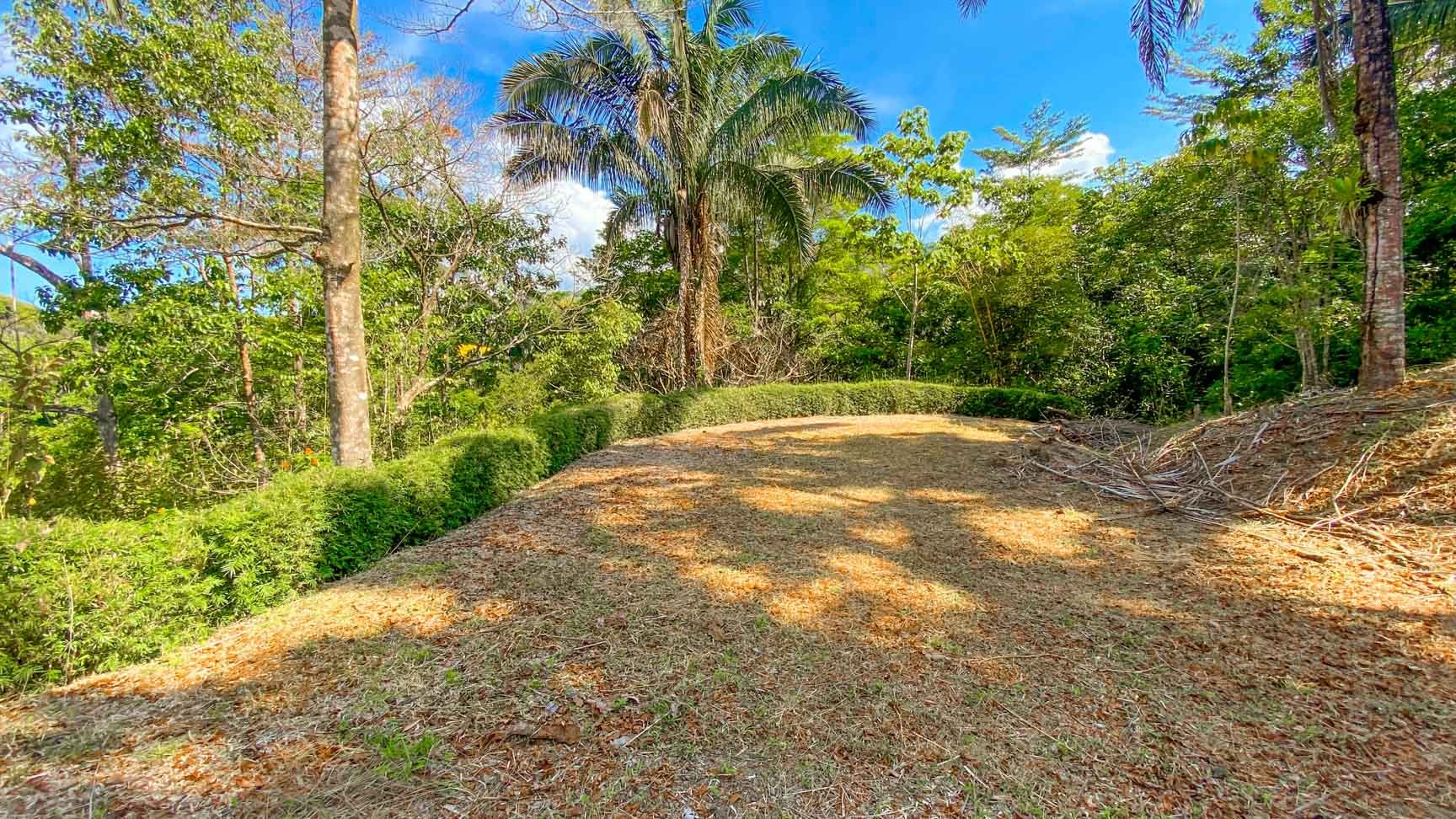 32-Acre Self-Sustainable Off-Grid Farm Near Ojochal with House, Solar Power & River