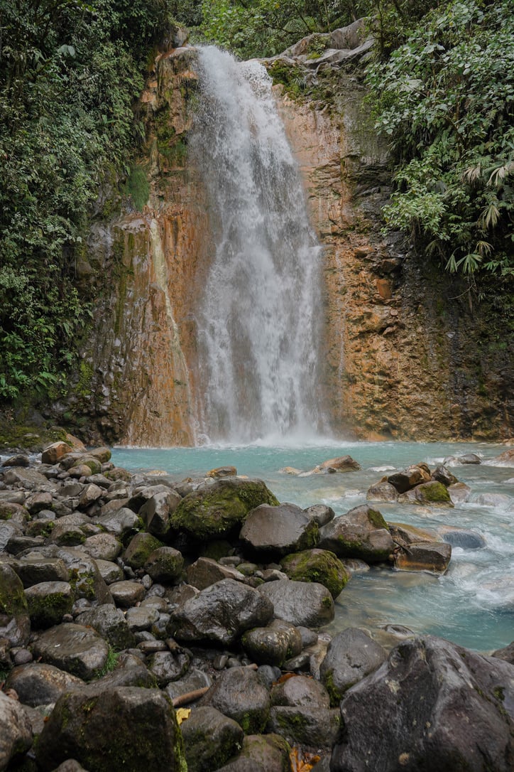 La Monarca