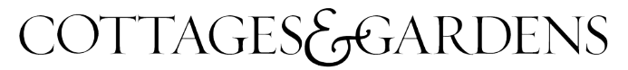logo {{@index}}