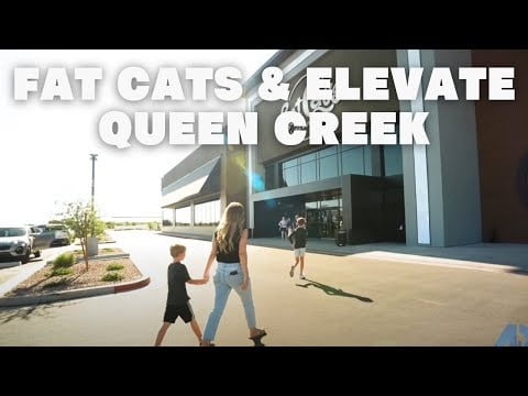 Fat Cats and Elevate Queen Creek