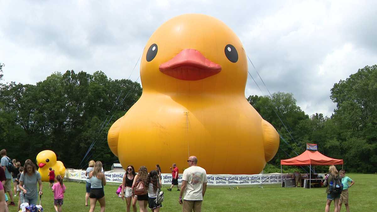 Clearwater’s Giant Rubber Duck Takes Over Coachman Park