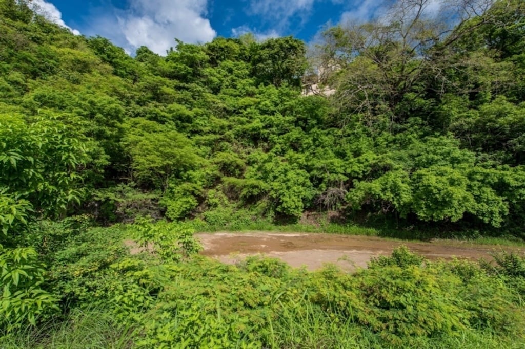 Ocean View Gated Development Lot, Tamarindo, Guanacaste