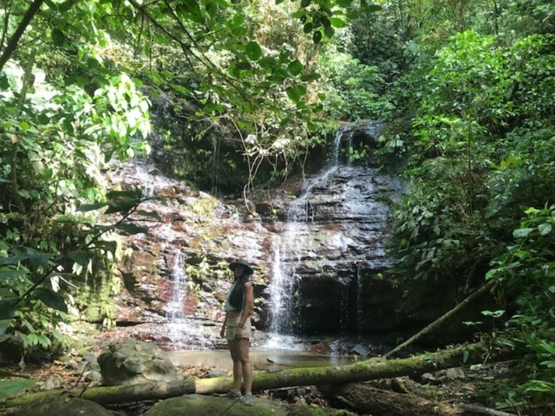 Spring Fed Ocean View Acreage, Uvita, Puntarenas