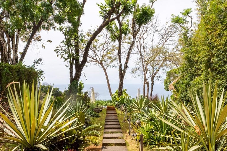 Thea Wellness Retreats