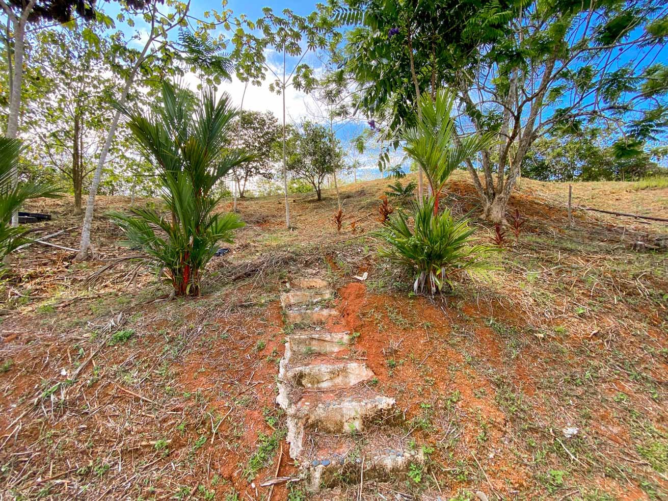 32-Acre Self-Sustainable Off-Grid Farm Near Ojochal with House, Solar Power & River