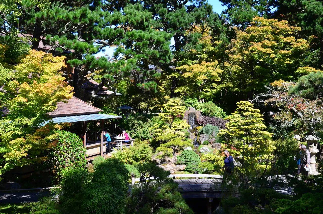 A close-up of a visitor standing near the Zen Garden, capturing the raked sand patterns and surrounding greenery