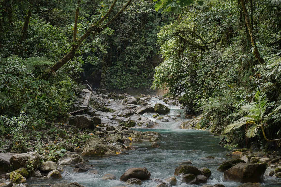 La Monarca