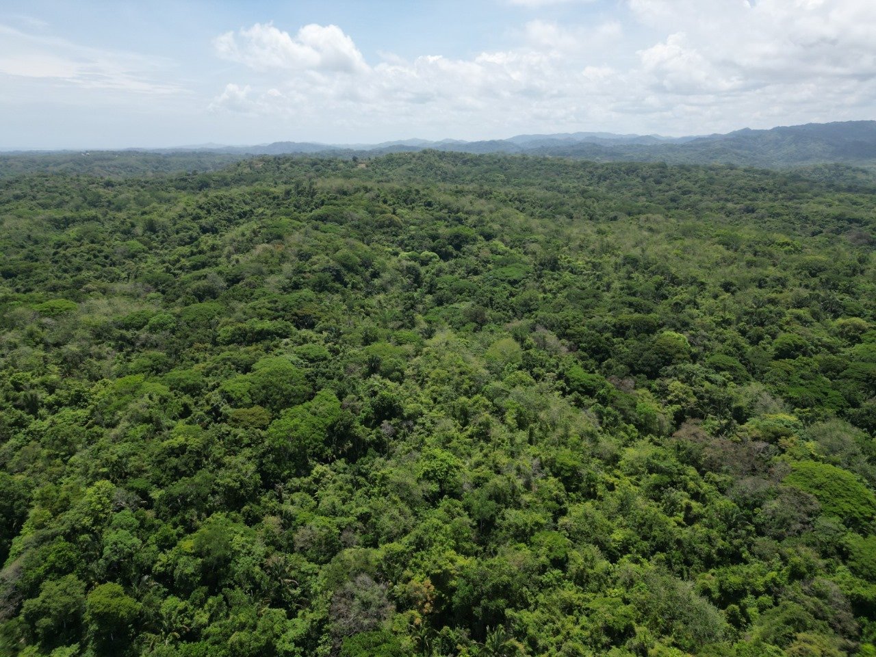 San Juanillo Farm | Large-Scale Ocean View Land with Investment Potential