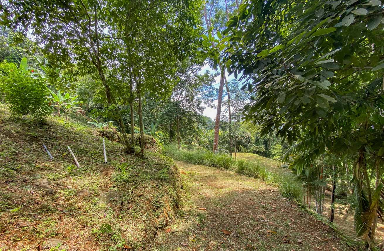 Large Uvita Lot With Whale’s Tail Ocean Views, Sunsets & Legal Water – Ready to Build!