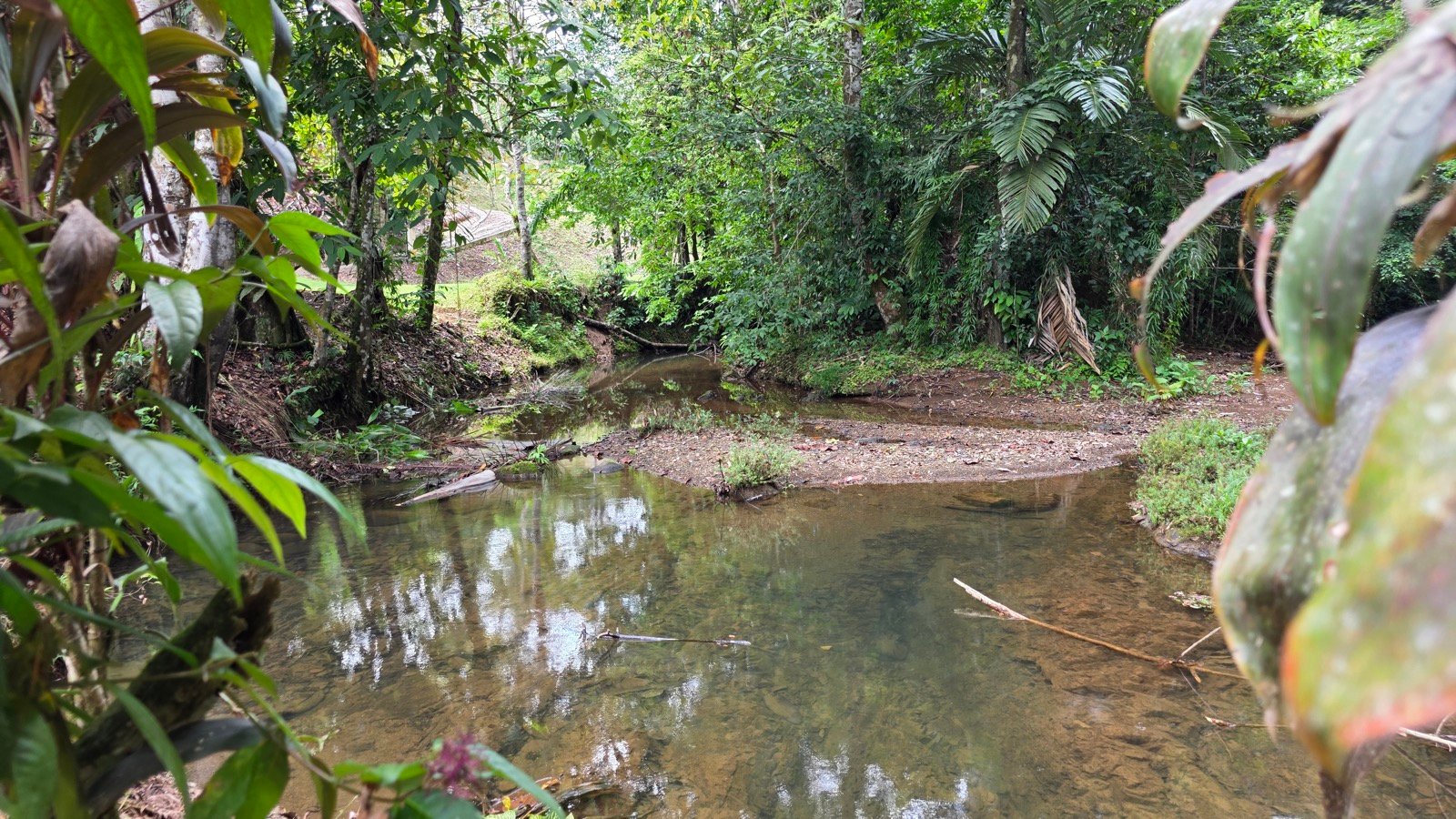 Refreshing Riverfront Retreat in Ojochal