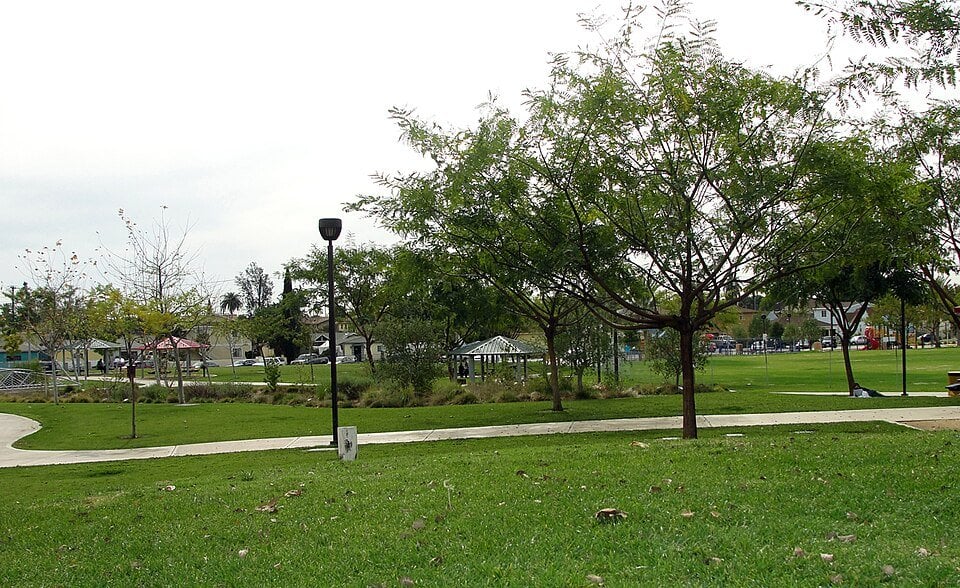 Maywood
