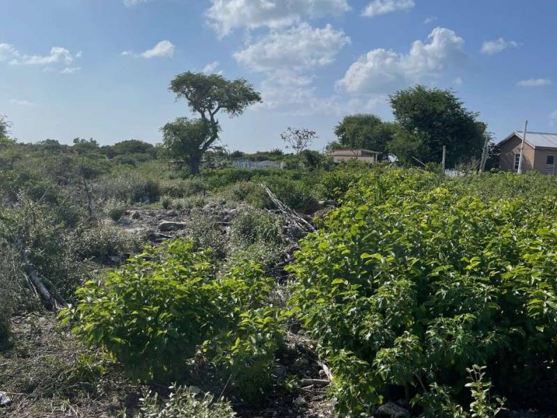147 Sand Beale 0.25 Acre Lot
