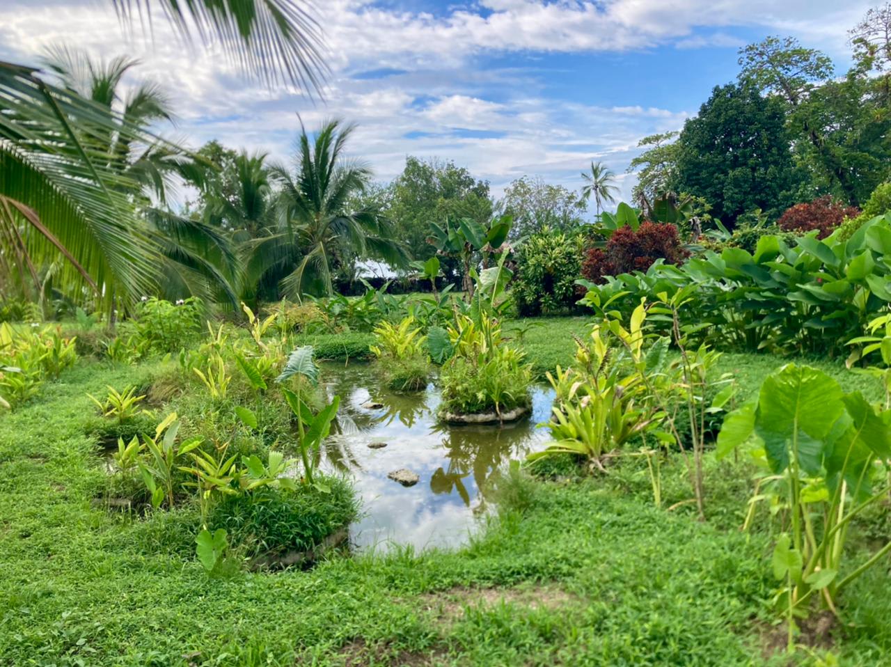  Eden Corcovado, Unique Beachfront from Paradise!