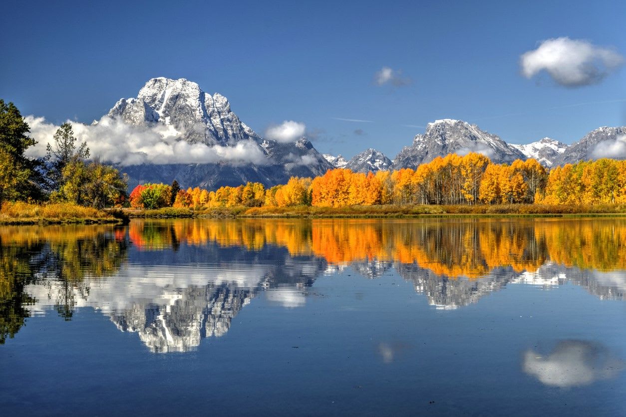 Panoramic view of vibrant fall foliage in Jackson, WY, with the Teton mountains in the background, showcasing the stunning autumn colors and natural beauty of the area.