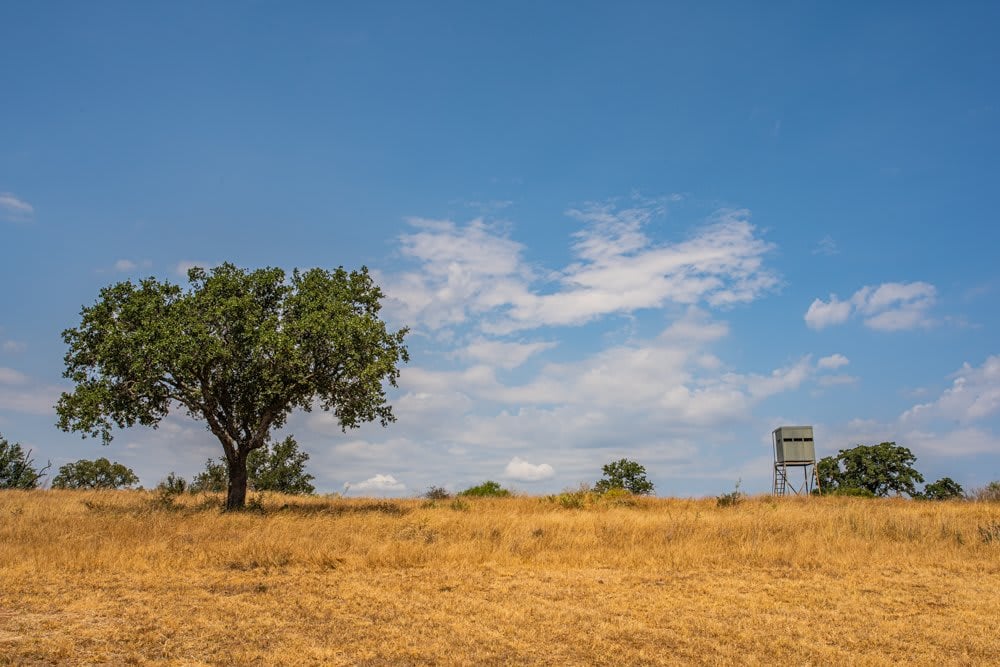 Dog Tick Ranch