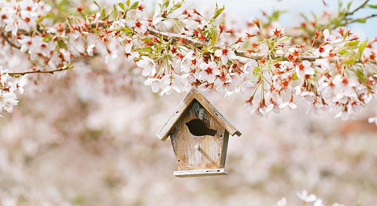 Data Says April is the Best Month to List Your Home for Sale