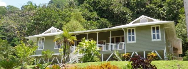 The Green House in Golfito
