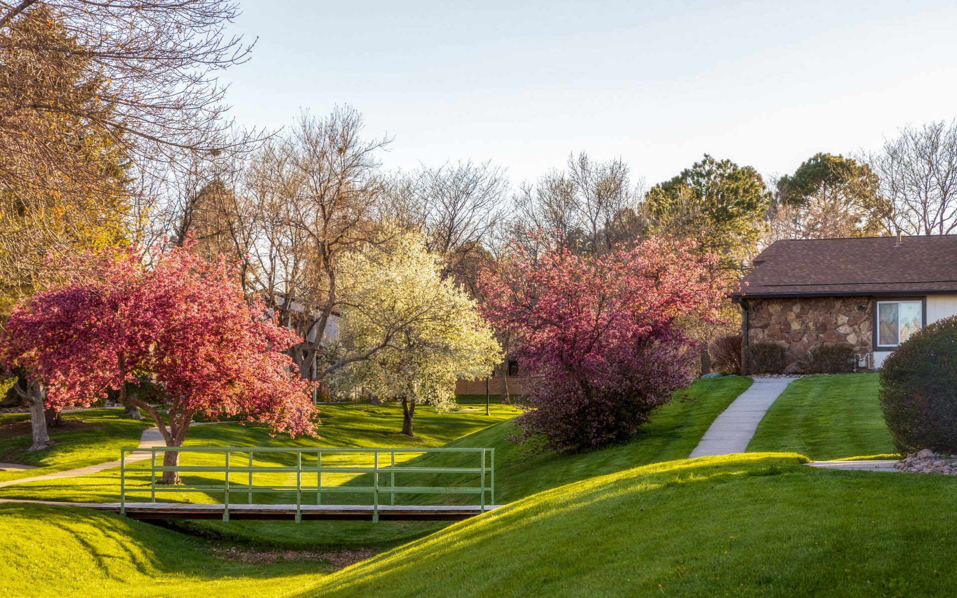 Meyers Real Estate Group