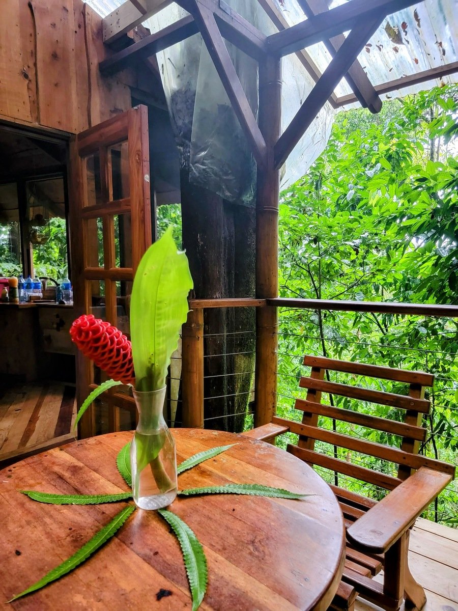 Sustainable Community House, Osa, Puntarenas