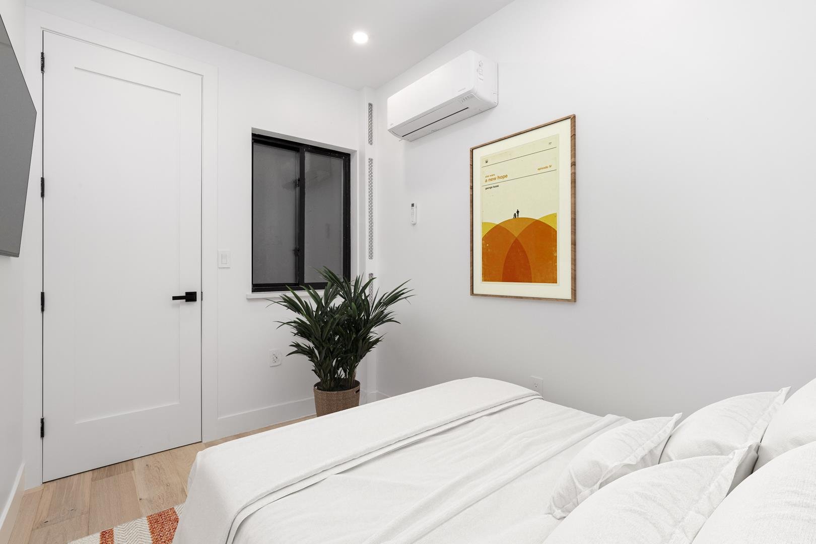 113 Elizabeth Street, Apt 1A