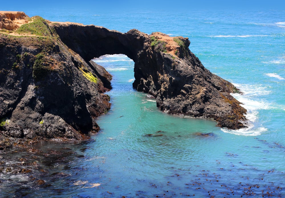 Summer's Guide to Coastal Mendocino