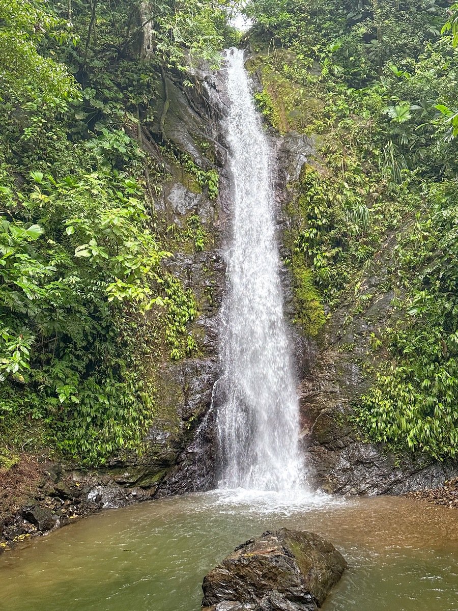 Waterfall Orchard Jungle Estate, Ojochal, Puntarenas