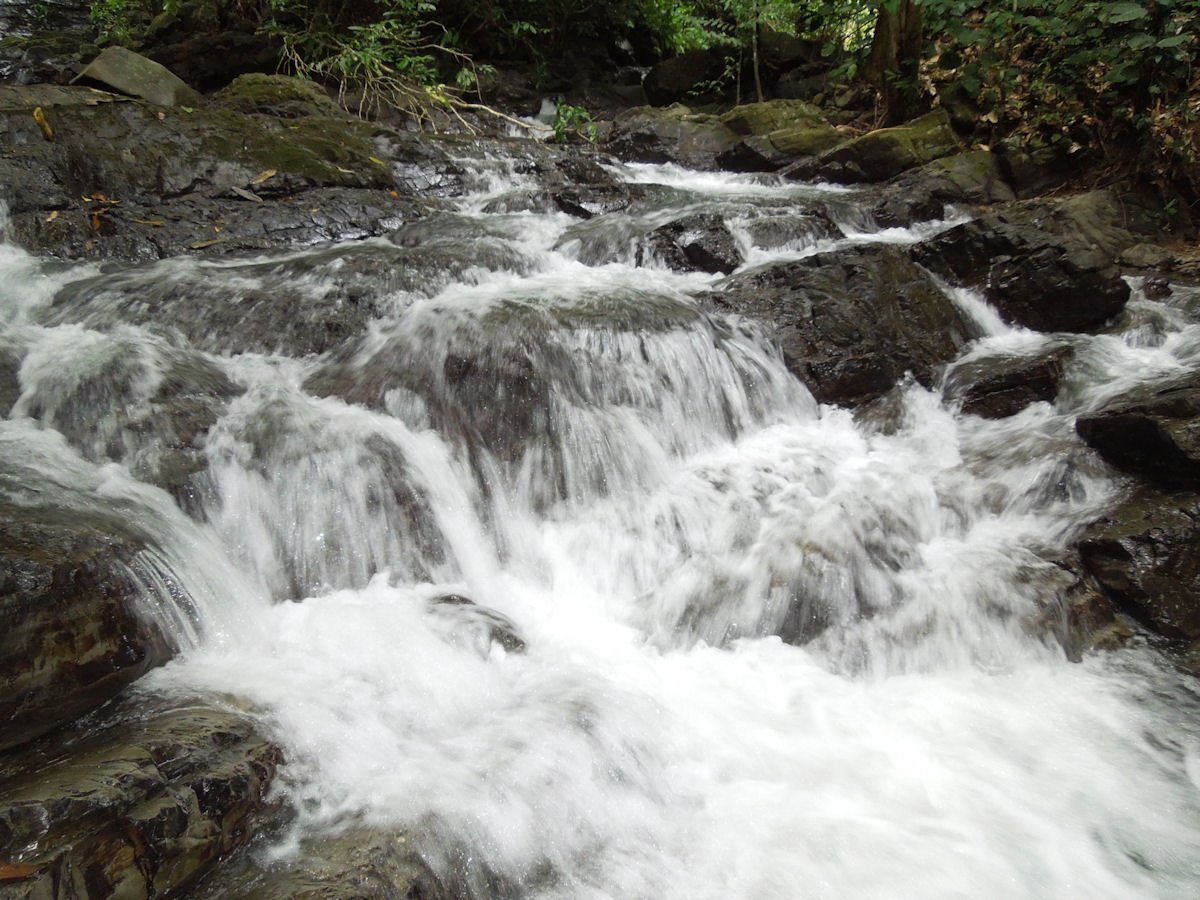 Coastal Development Acreage, Dominical, Puntarenas