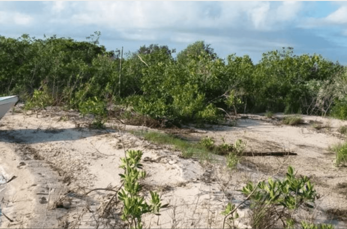 150 feet beachfront 2.25 acres off-grid homesite