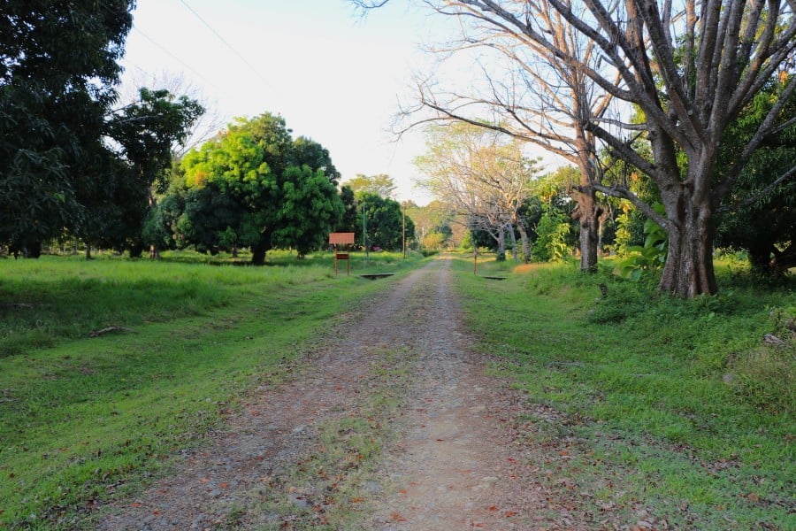 Coastal Development Land, Dominical, Puntarenas