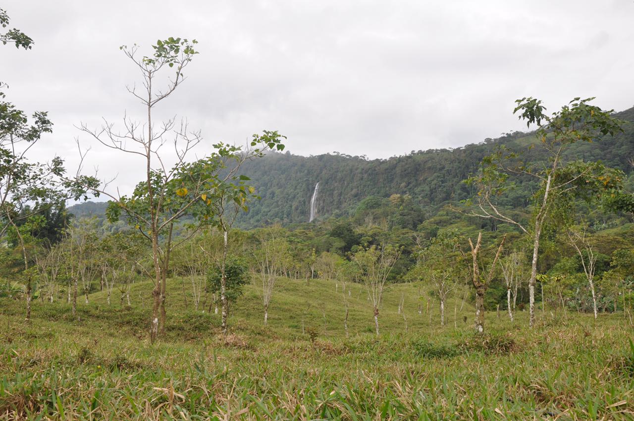 Waterfall View Farm On 80% Usable Land In Uvita