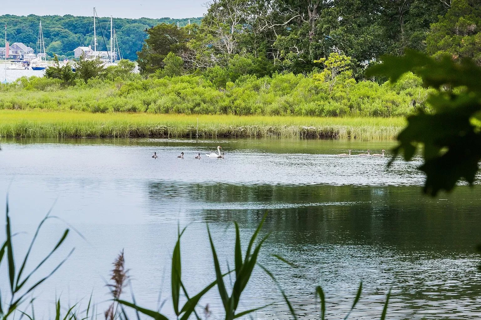 17 Scallop Avenue 