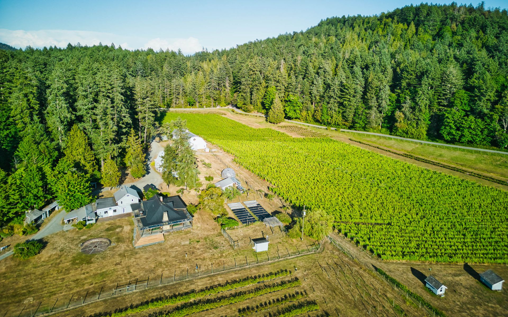 The Point House Estate