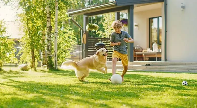  A child is playing outside with a dog in a garden. The child appears to be running or jumping, and the dog is excitedly following.