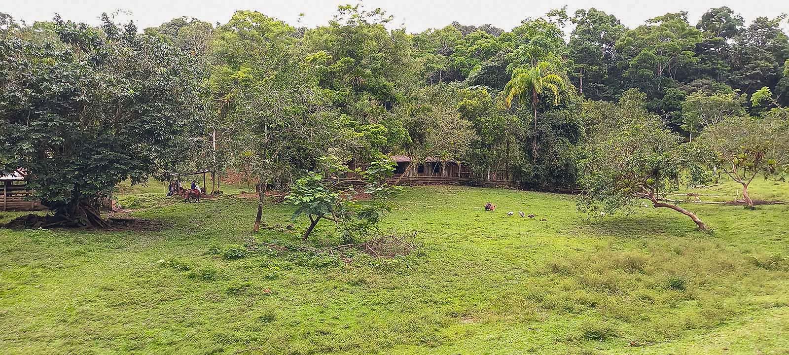 598 Acres With River Frontage Blue Water Views Gentle Rolling Hills and Waterfalls