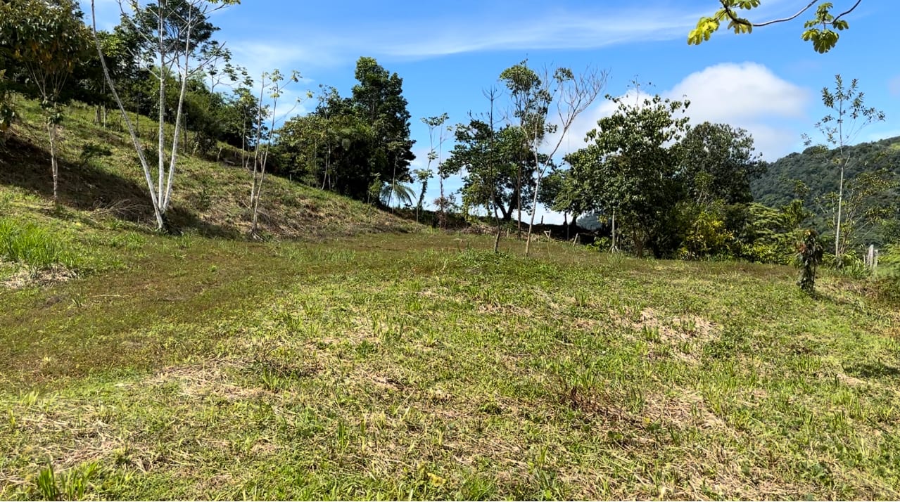 San Josecito Farm Above Uvita, 4 Acres, Creek and Usable Land