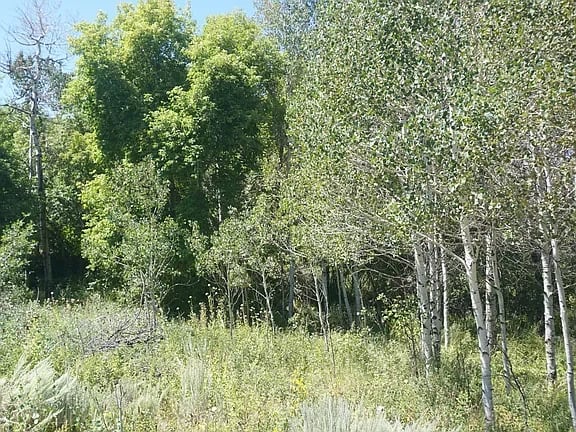1778 S Beaver Bench Rd