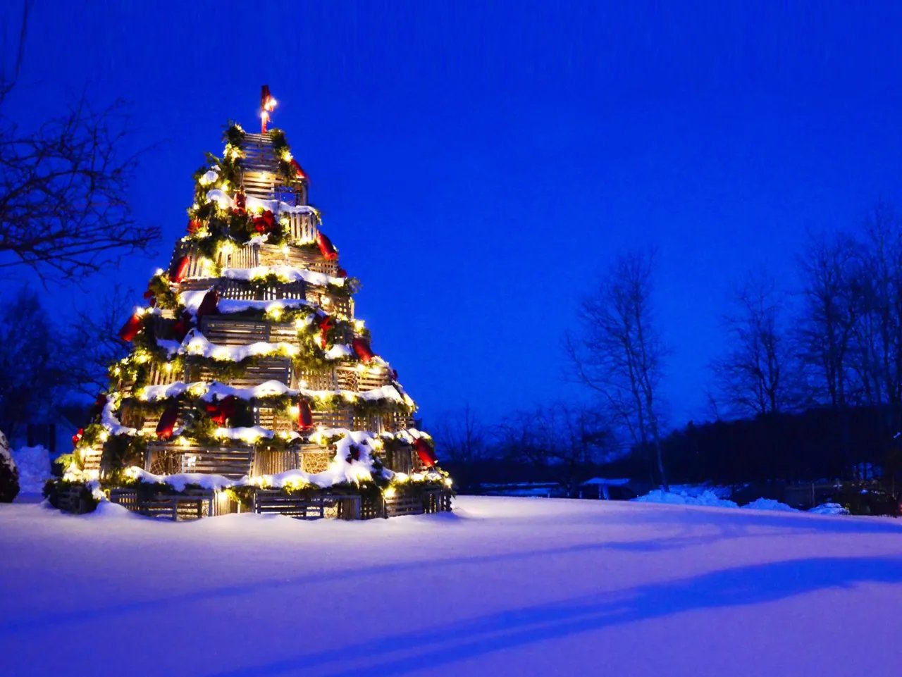 Experience the Magic of Maine: Festive Events this Holiday Season