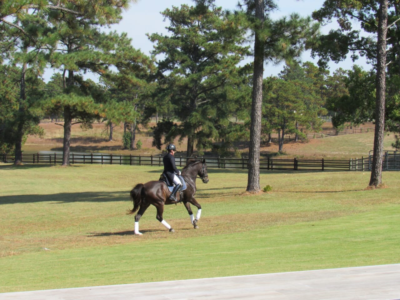 Rider and horse in harmonious stride, capturing the essence of leisure and luxury on a sprawling estate.