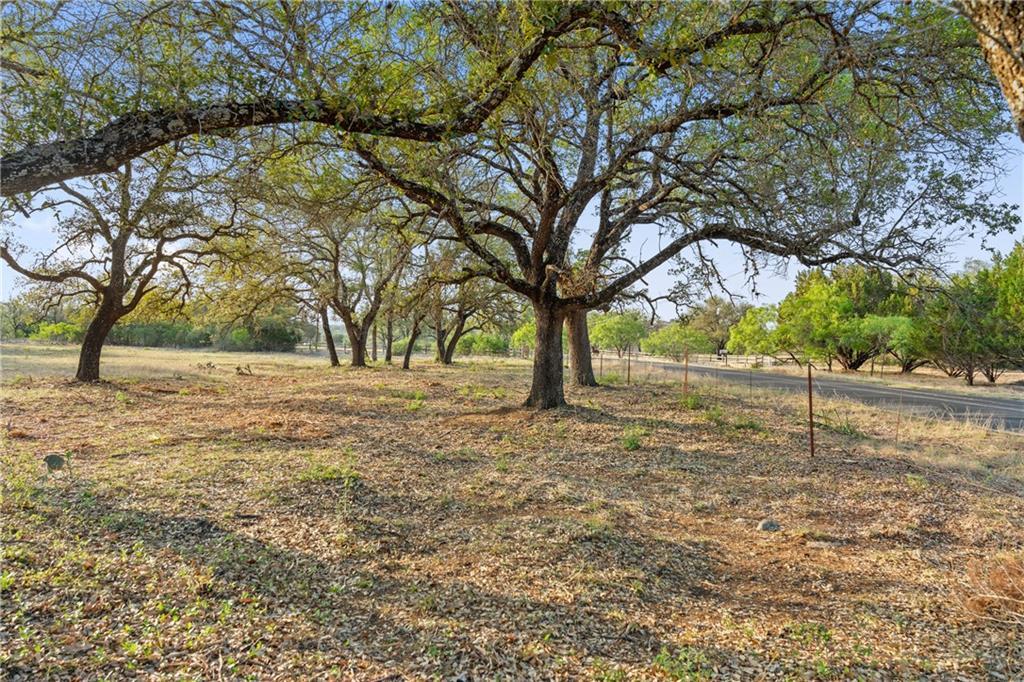 10 PEDERNALES CANYON TRL