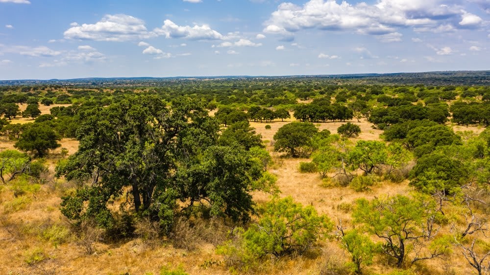 Dog Tick Ranch