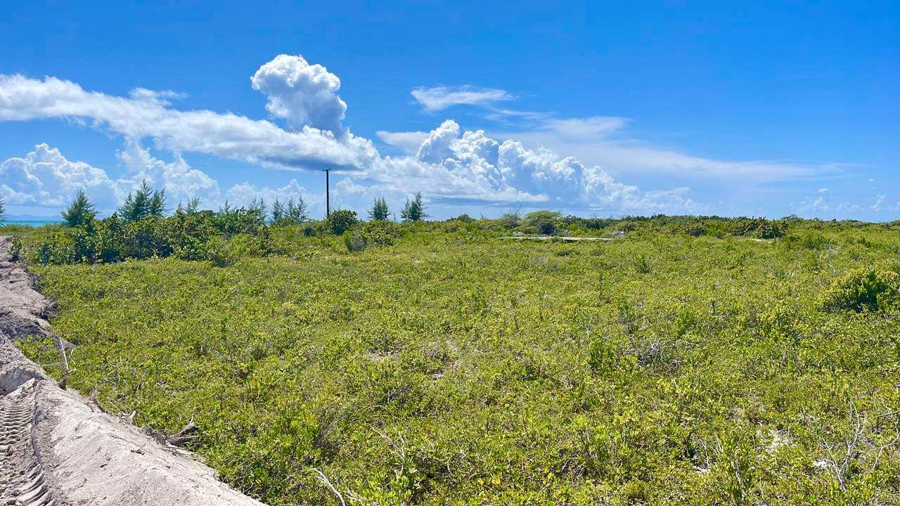 150 Anegada 0.517 Acres