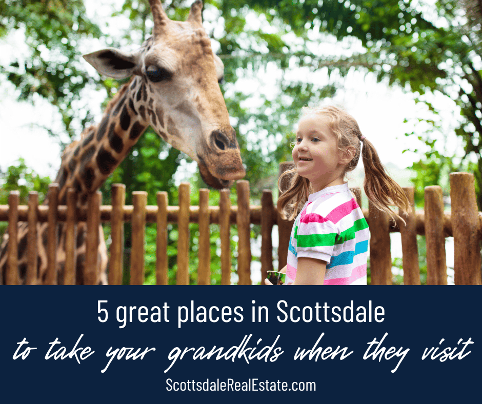 5 Great Places to Take Your Grandkids in Scottsdale