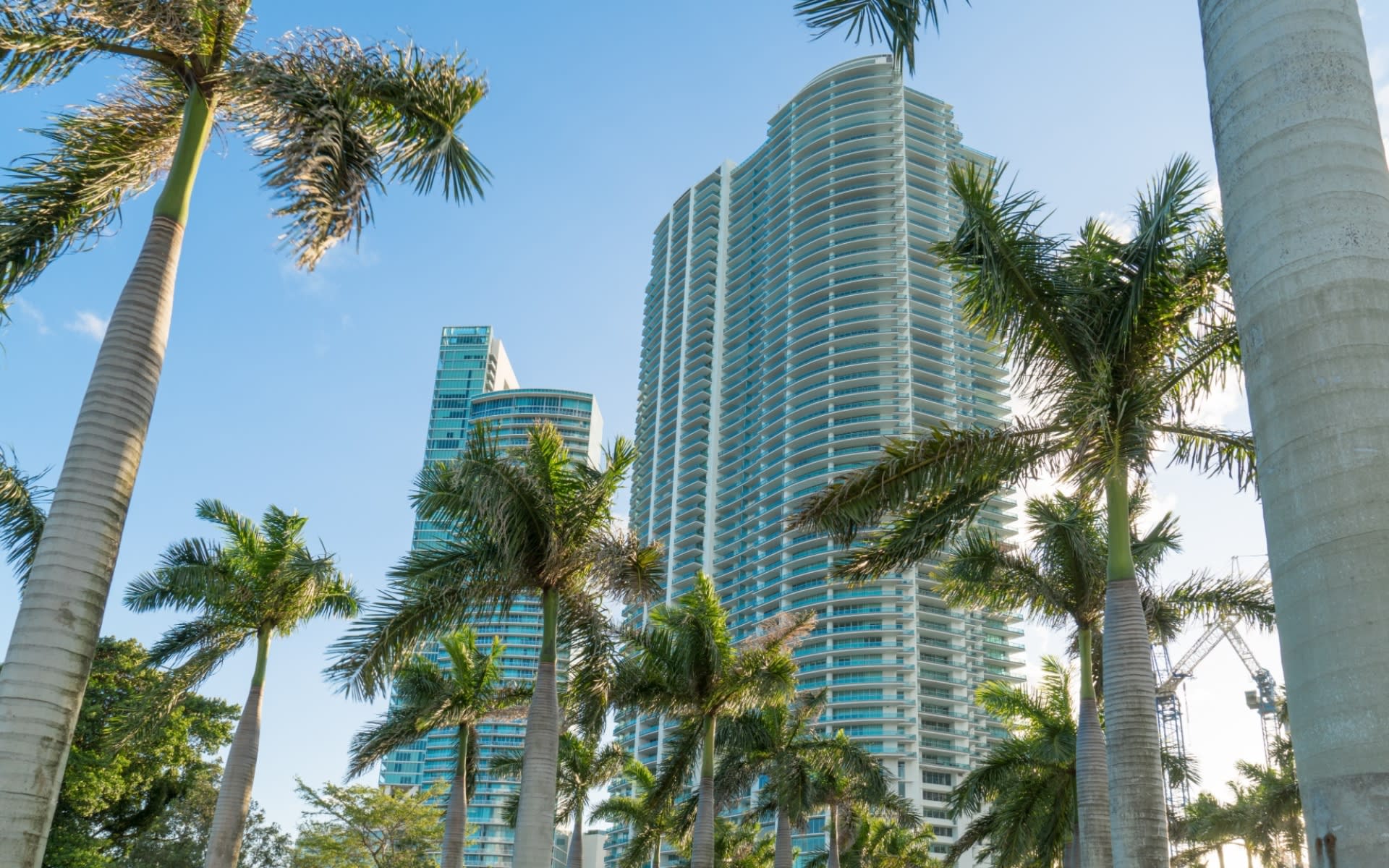 Edificio de condominios con palmeras en una zona costera urbana